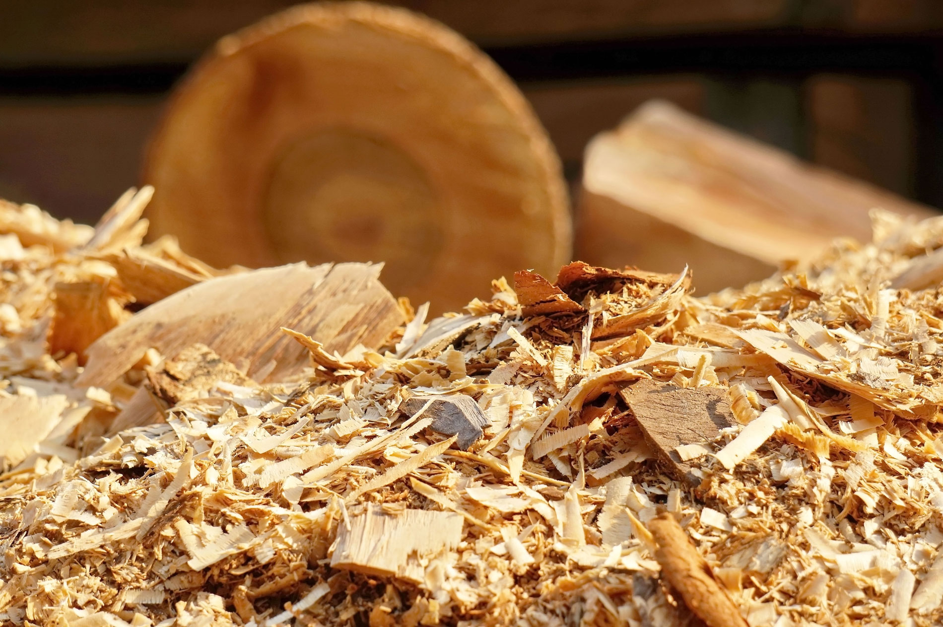 wood