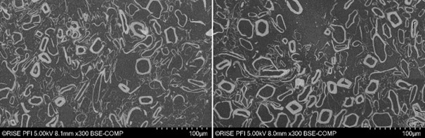 Scanning electron microscopy (SEM).