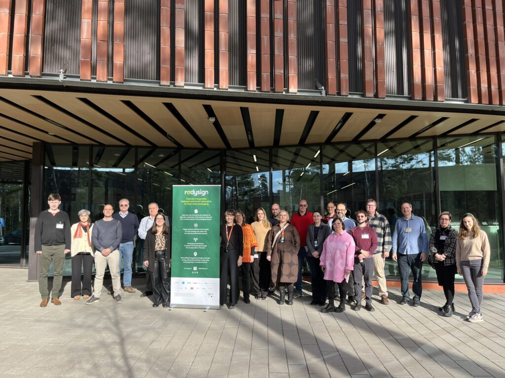 REDYSIGN Consortium at Espoo (Finland)