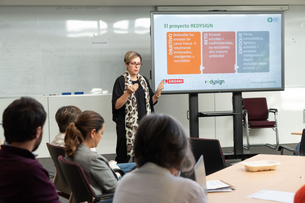 Presentation of REDYSIGN project