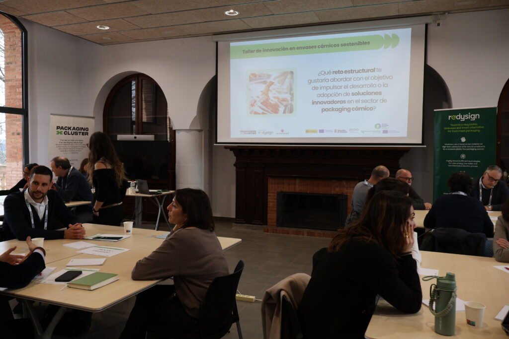 Interactive session during REDYSIGN workshop