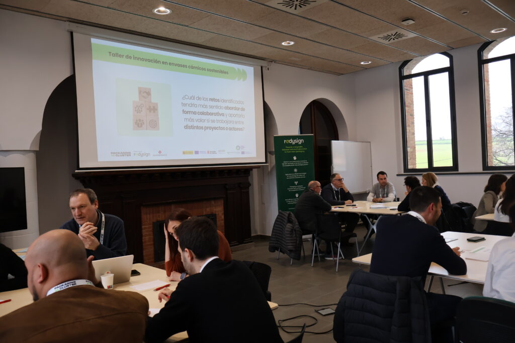 REDYSIGN workshop