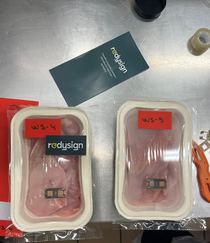 REDYSIGN First prototypes trial