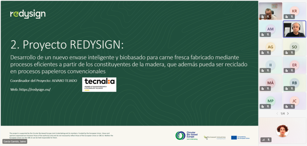 REDYSIGN - Basque Paper Technical Sessions Presentation