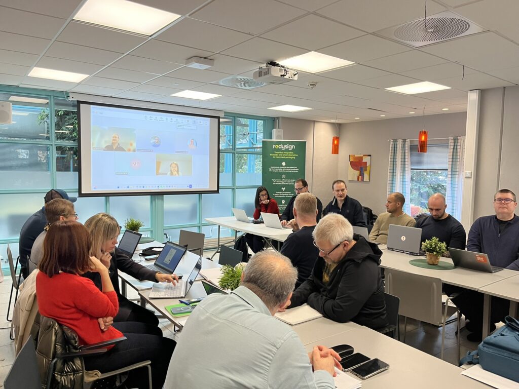 REDYSIGN Project Consortium Meeting