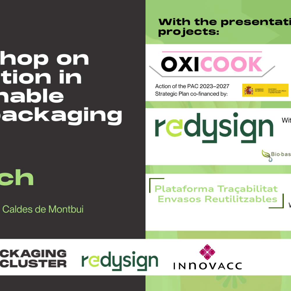 REDYSIGN workshop