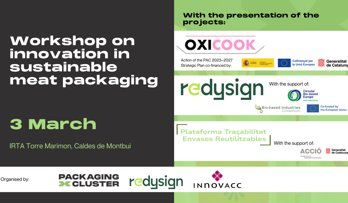 REDYSIGN workshop
