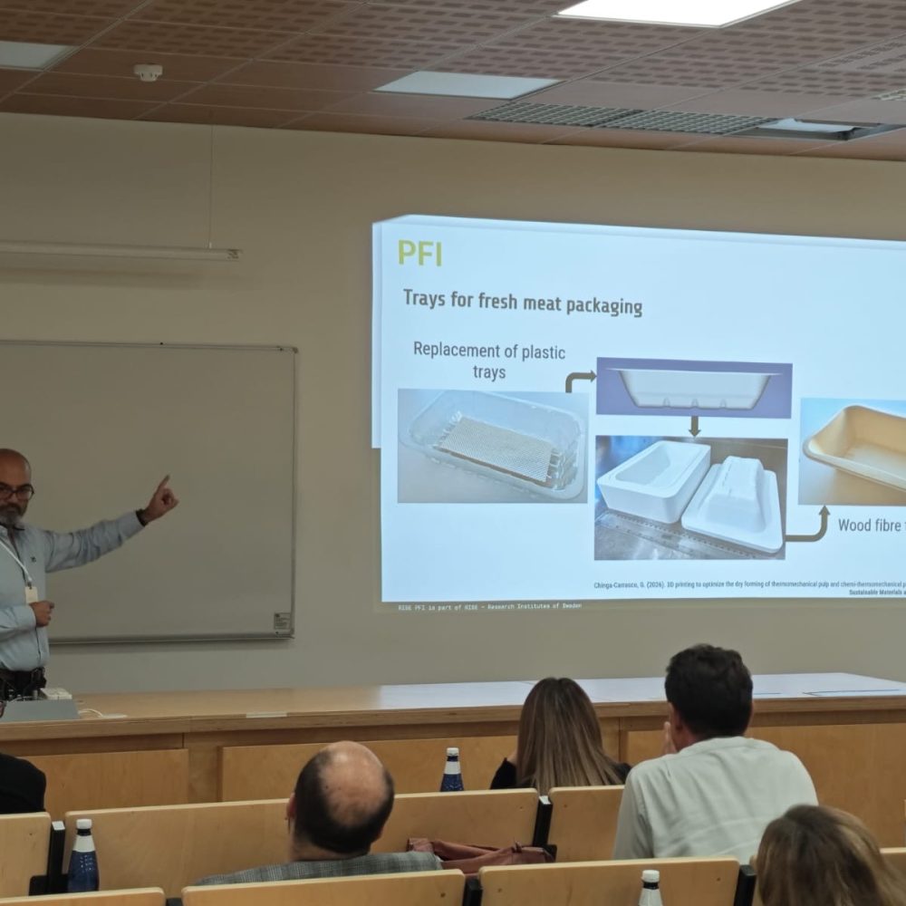 Gary Chinga Carrasco presenting REDYSIGN