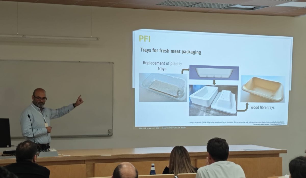 Gary Chinga Carrasco presenting REDYSIGN
