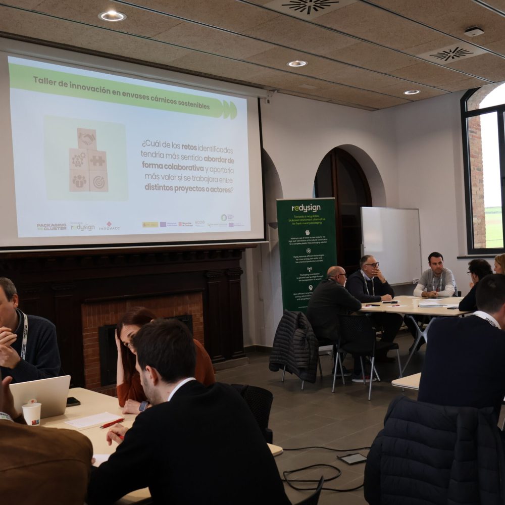 REDYSIGN workshop