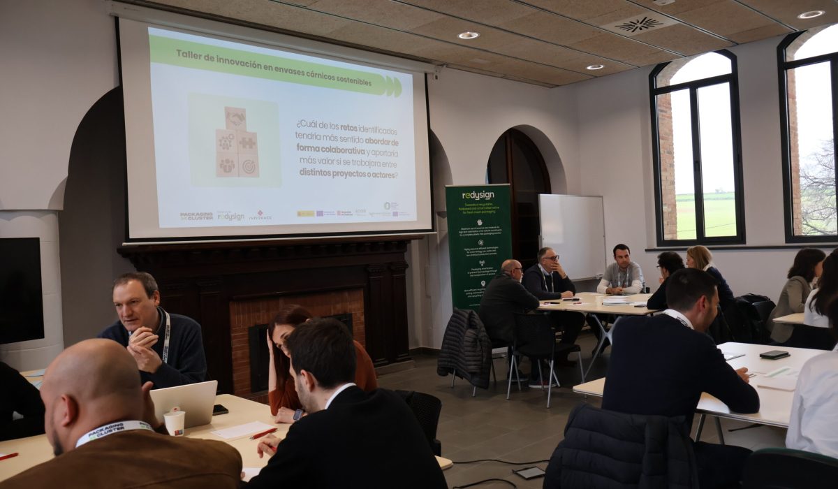 REDYSIGN workshop