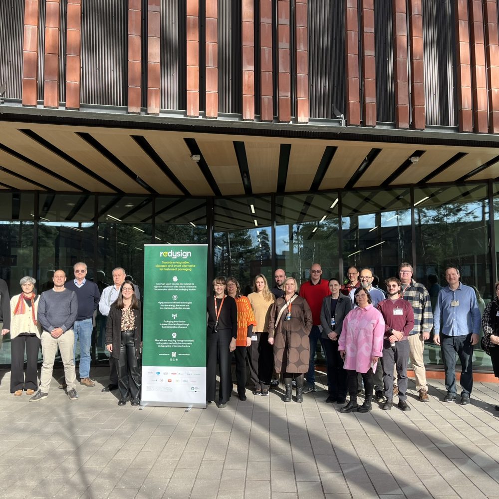 REDYSIGN Consortium at Espoo (Finland)