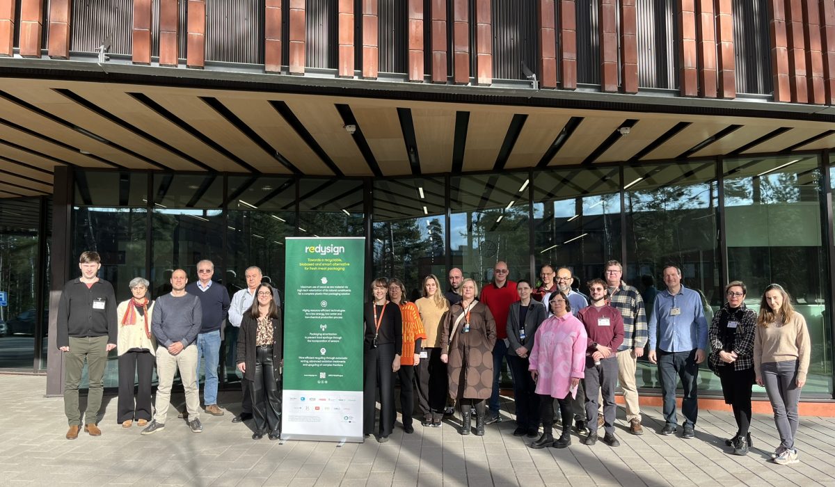REDYSIGN Consortium at Espoo (Finland)