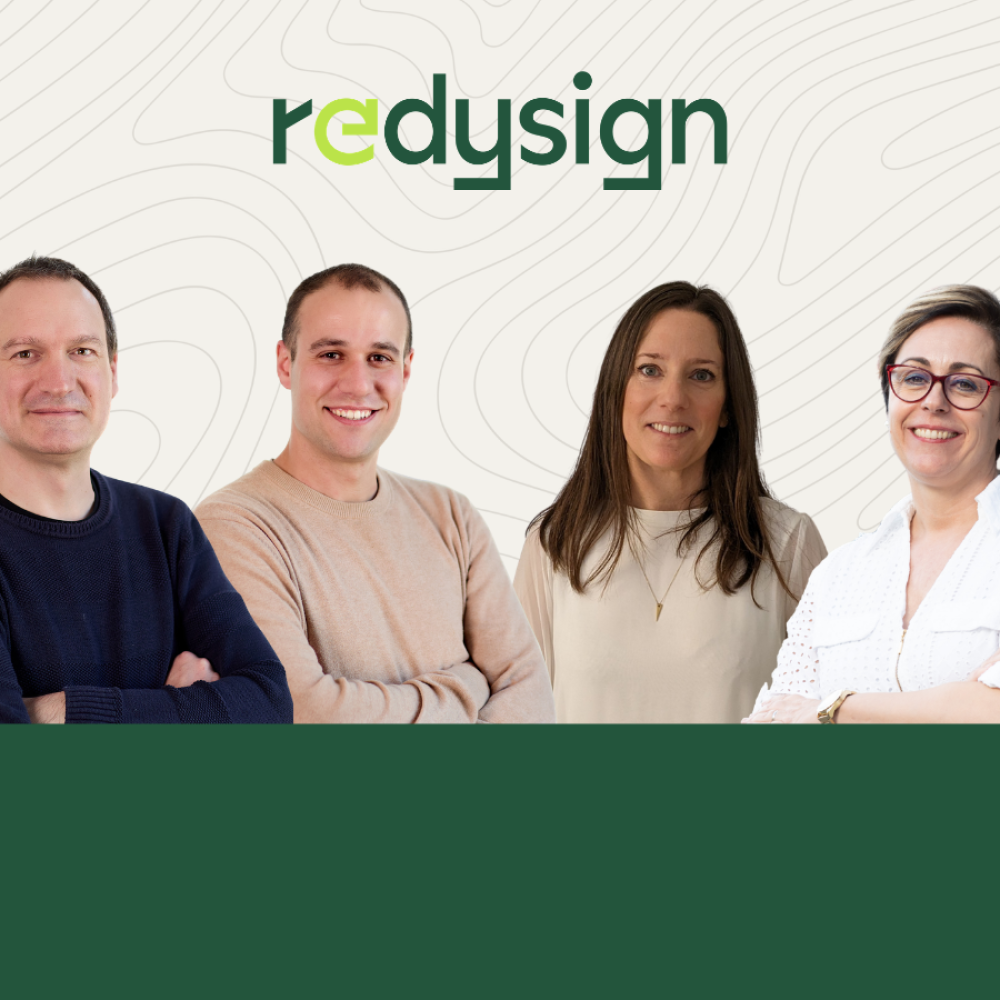 REDYSIGN Expert article