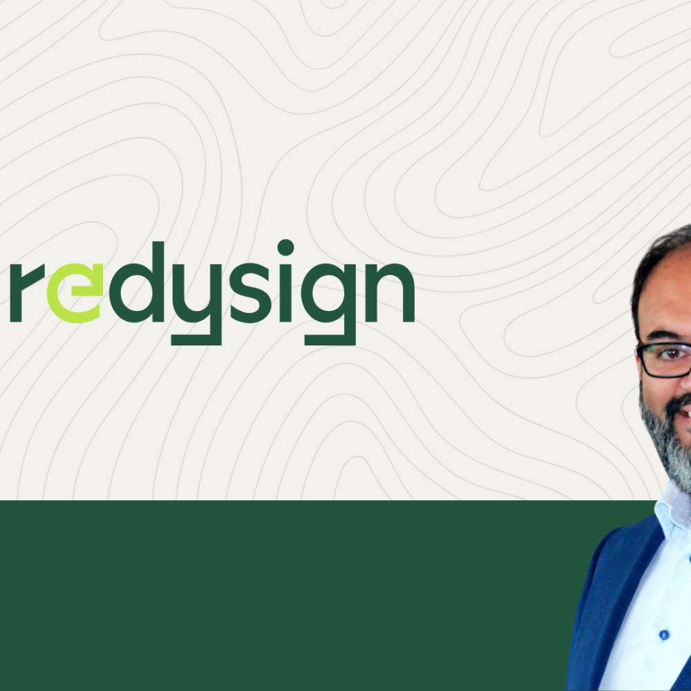 REDYSIGN, Gary Chinga Carrasco (RISE PFI)