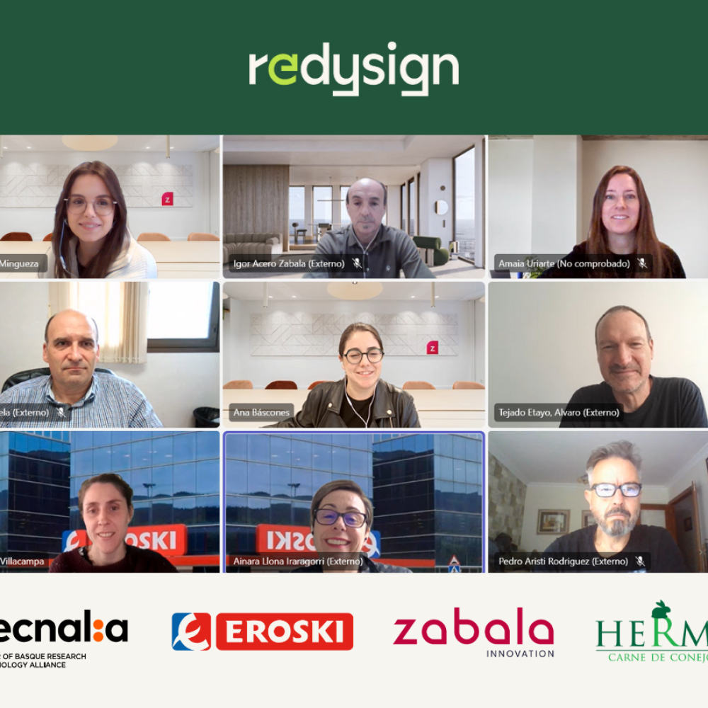 REDYSIGN Eroski Living Lab