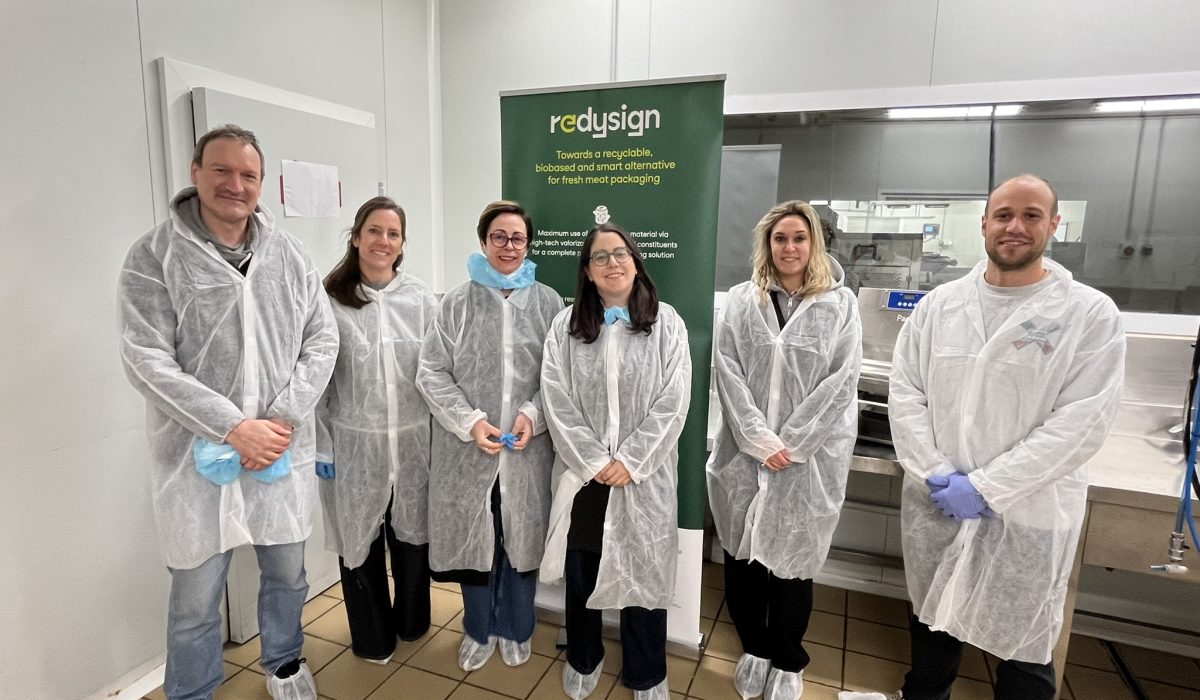 REDYSIGN consortium participants during the first prototype trials