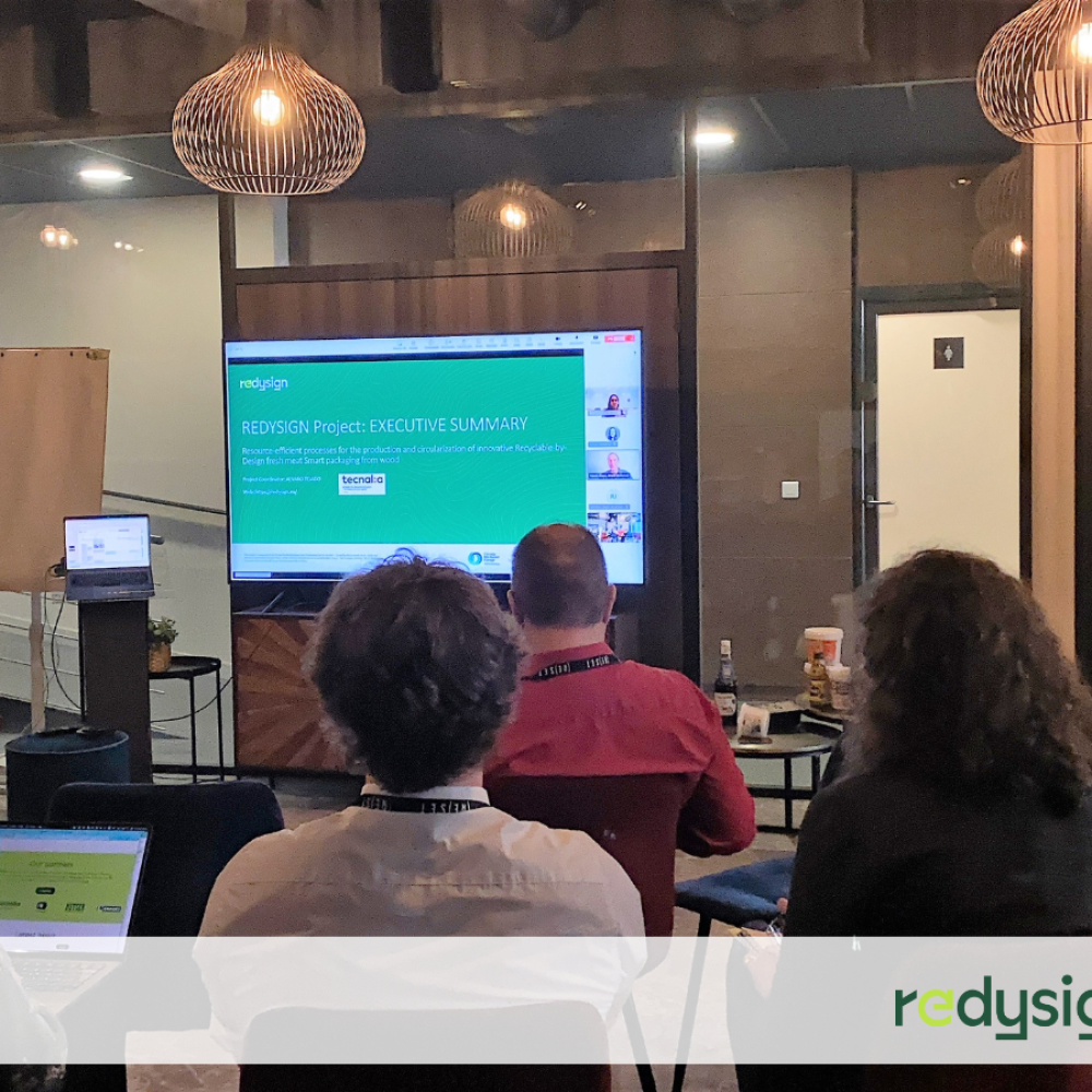 REDYSIGN and R3PACK Projects Collaboration