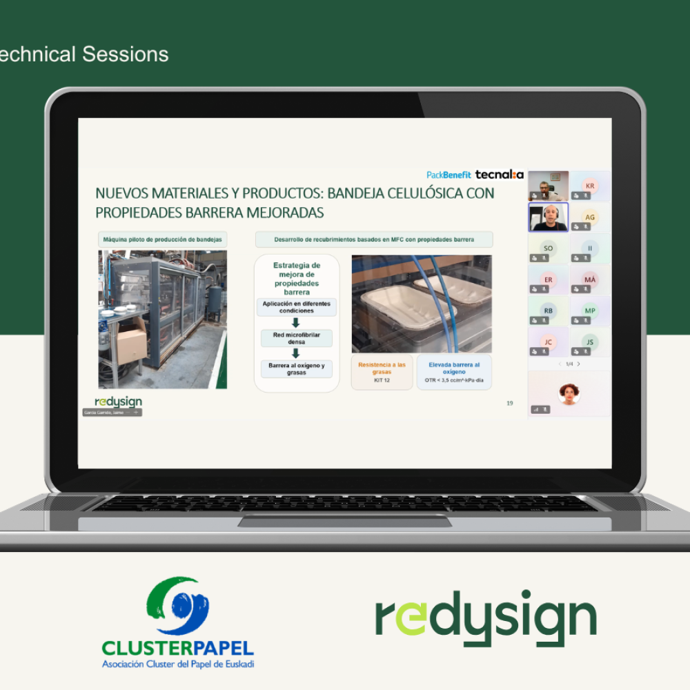 REDYSIGN Project - Basque Paper Technical Sessions