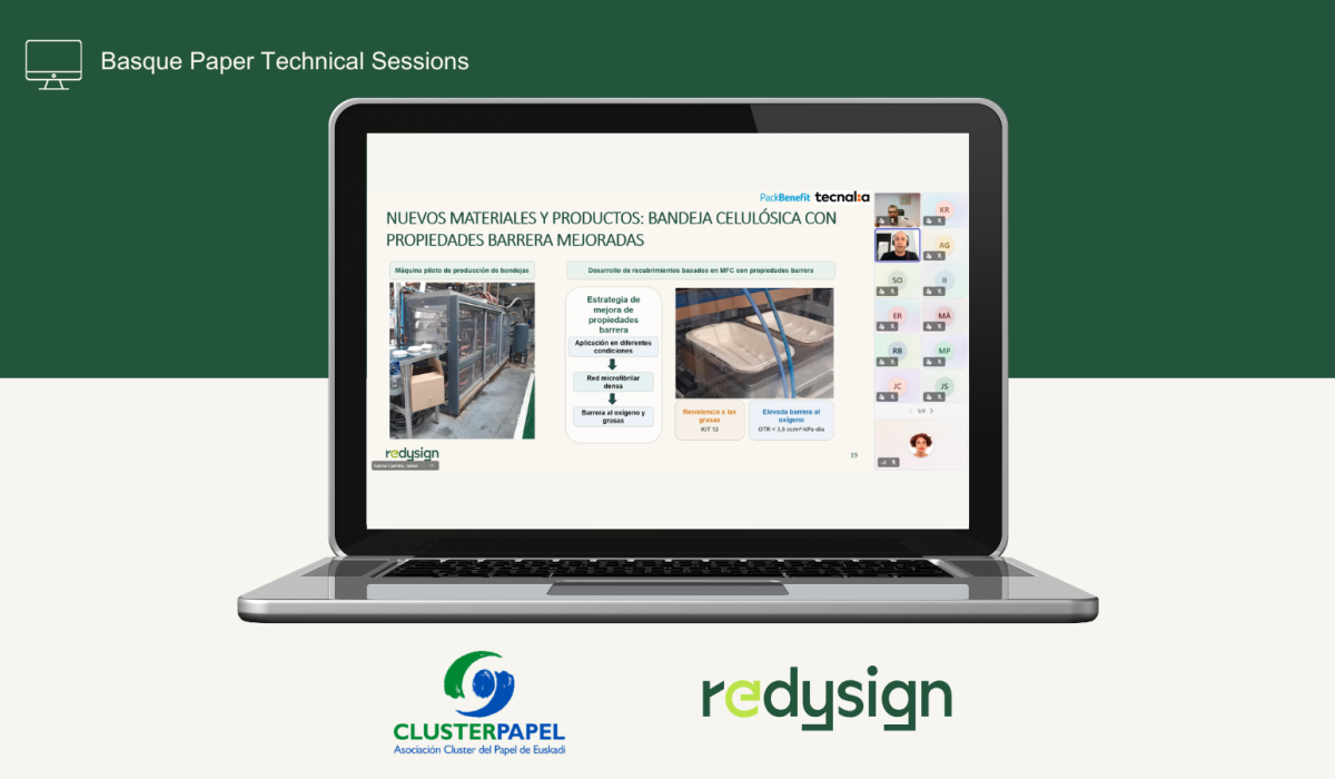 REDYSIGN Project - Basque Paper Technical Sessions