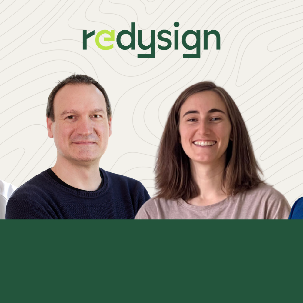 REDYSIGN Project - Expert article