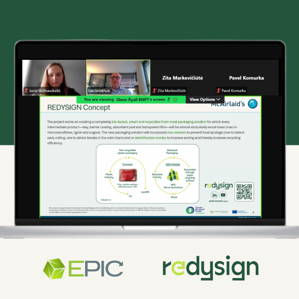 REDYSIGN Project showcased in EPIC Masterclass