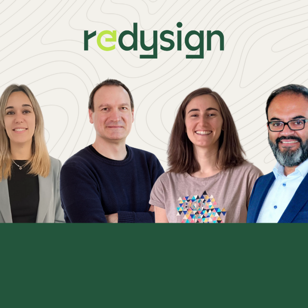 REDYSIGN experts article