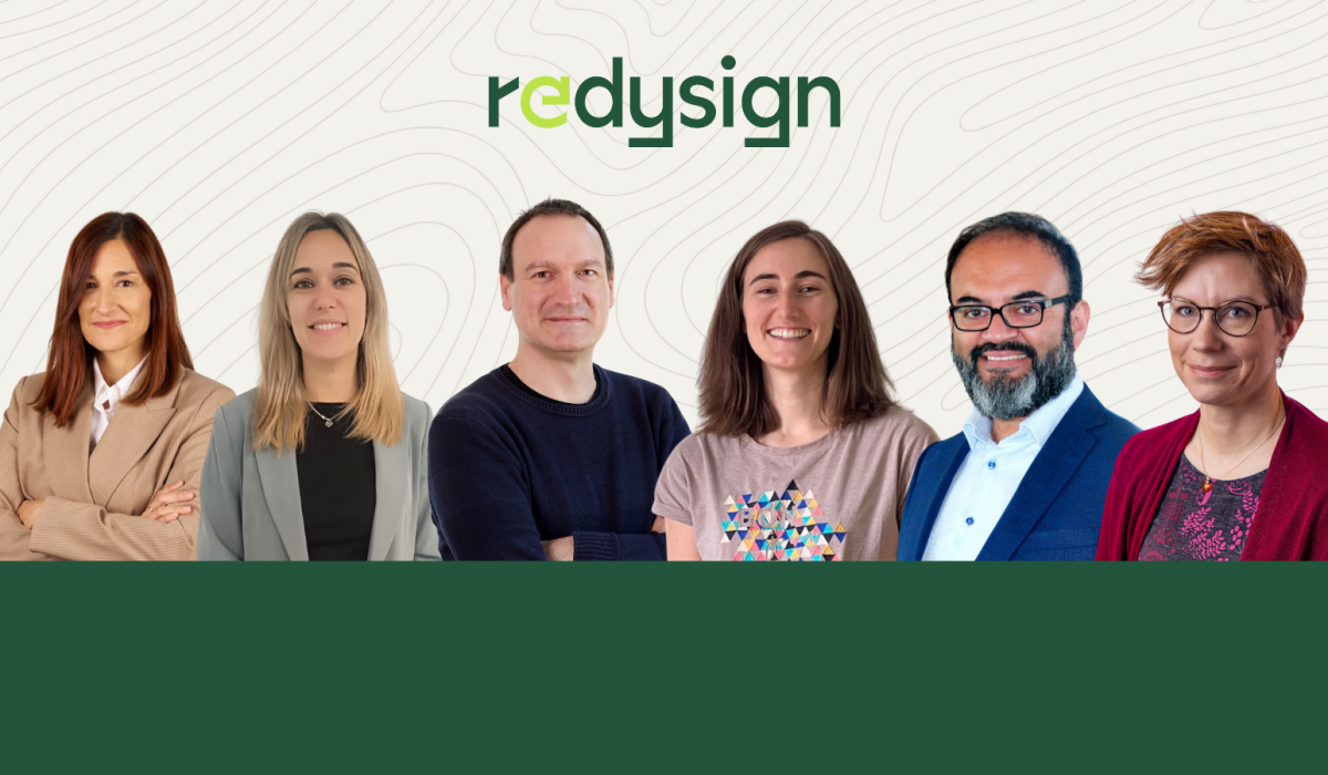 REDYSIGN experts article