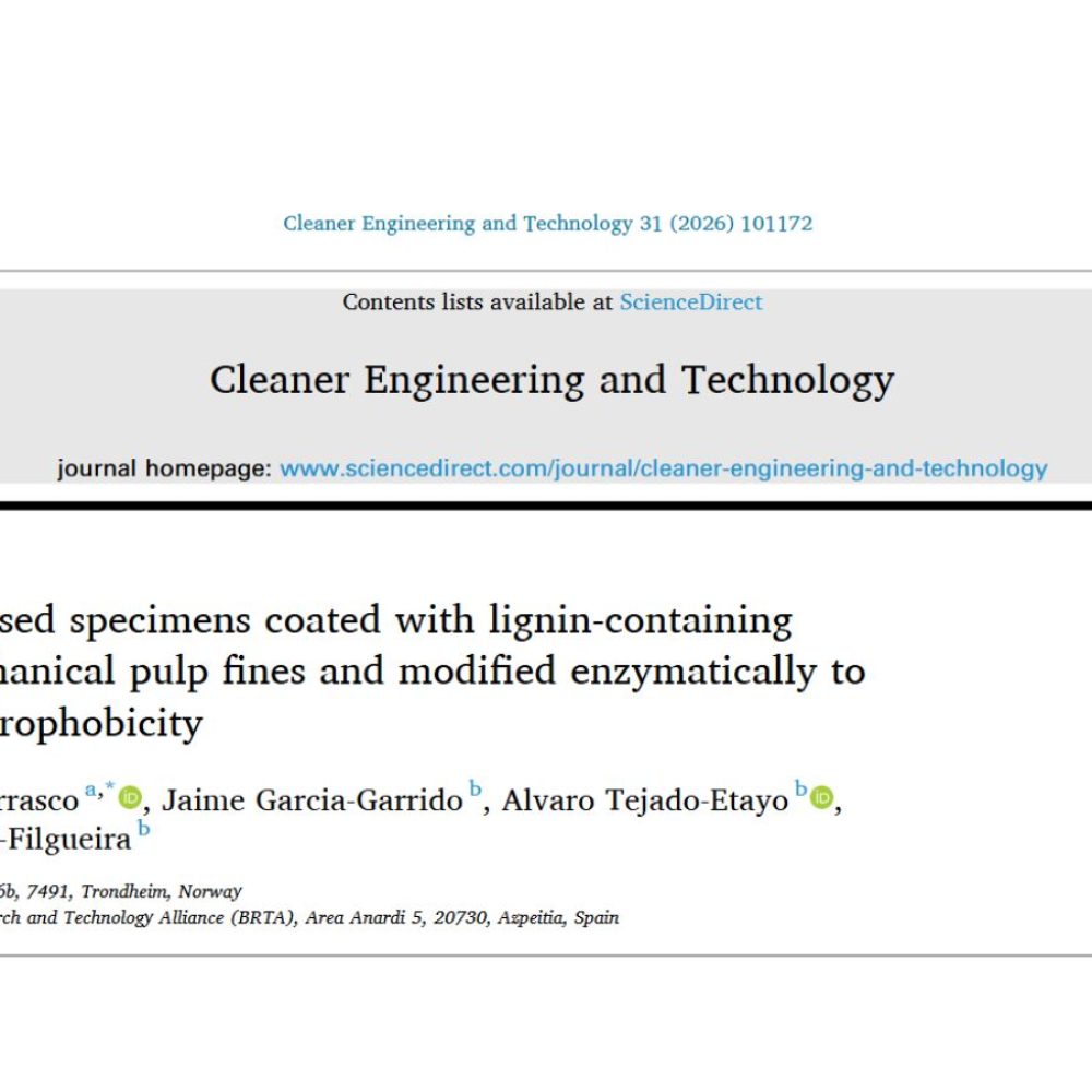 Thermo-mechanical pulp publication within the REDYSIGN project