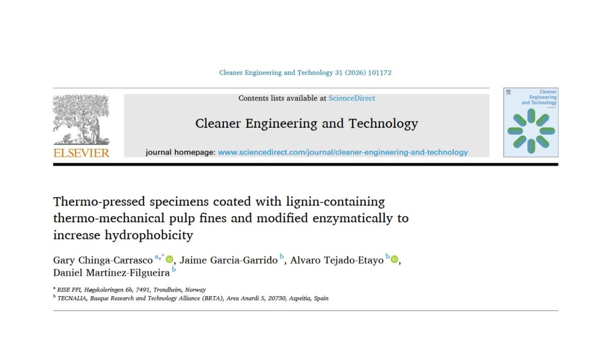 Thermo-mechanical pulp publication within the REDYSIGN project