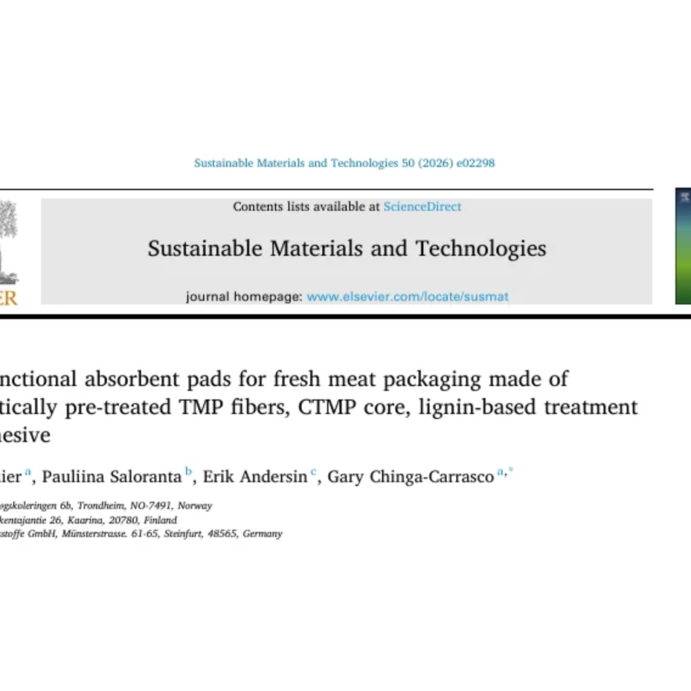 REDYSIGN publication on absorbent pads